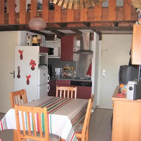 Lägenhet T2 Mezzanine A Plage - 2 Chambres, Animaux Acceptes, Ascenseur - Fr-1-379-106 *